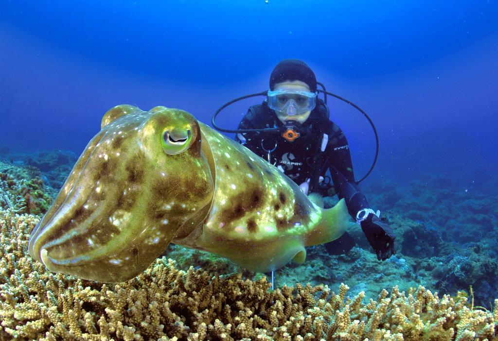 Green Island Ocean Rhythem Dive B&B 綠島海韻民宿 외부 사진